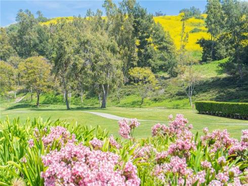 13  Plaza Baja del Sol  , San Juan Capistrano, CA