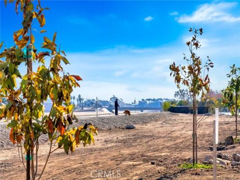 31341  Via Sonora  , San Juan Capistrano, CA