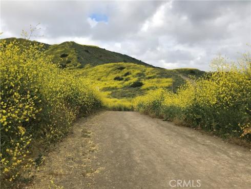 30161 Outpost Road , San Juan Capistrano, CA