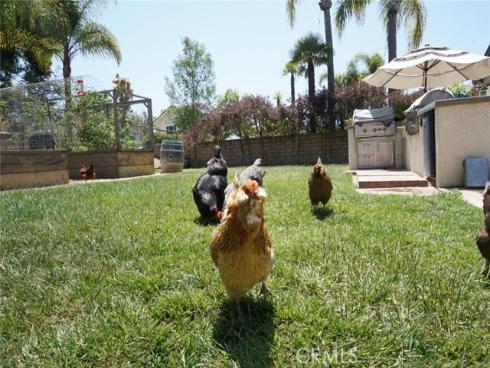 29941  Imperial   Drive, San Juan Capistrano, CA