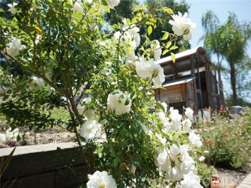 29941  Imperial   Drive, San Juan Capistrano, CA