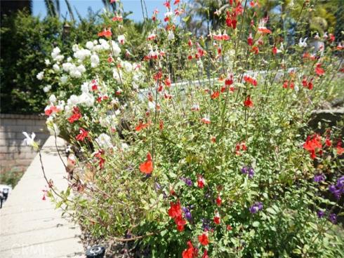 29941  Imperial   Drive, San Juan Capistrano, CA