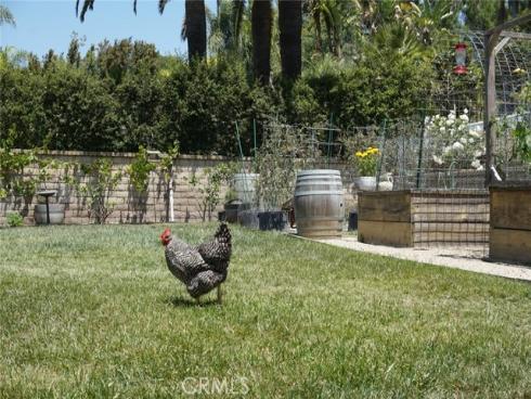 29941  Imperial   Drive, San Juan Capistrano, CA