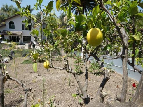 29941  Imperial   Drive, San Juan Capistrano, CA