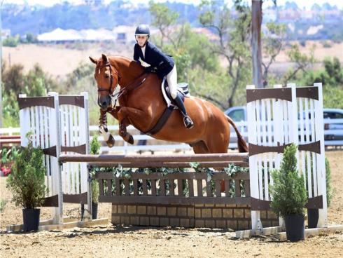 27345  Via Capri  , San Juan Capistrano, CA