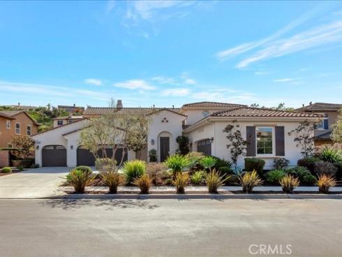 29310  Paseo Palmar  , San Juan Capistrano, CA