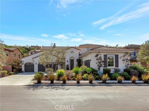 29310  Paseo Palmar  , San Juan Capistrano, CA