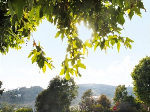 26422 Paseo Carmel 20A , San Juan Capistrano, CA