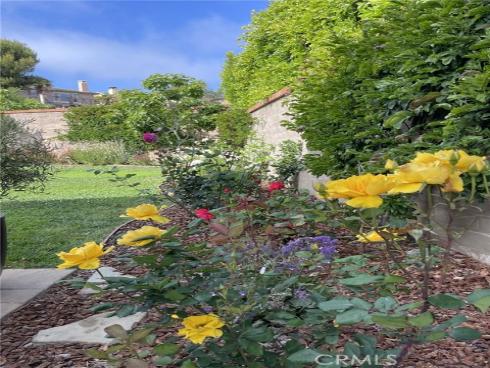 26431  Paseo Infinita  , San Juan Capistrano, CA