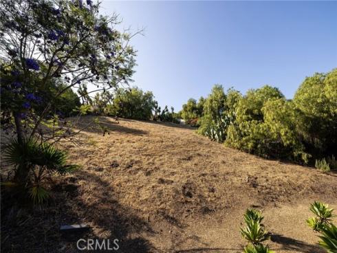 31681  Peppertree  , San Juan Capistrano, CA