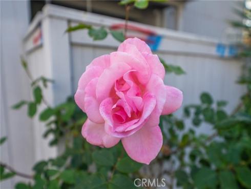 32221  Alipaz  132 , San Juan Capistrano, CA