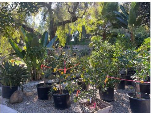 27401 Ortega , San Juan Capistrano, CA