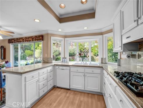 31226 Belford Drive, San Juan Capistrano, CA