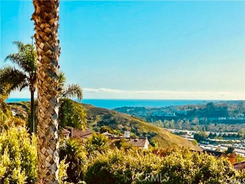 33532 Valle , San Juan Capistrano, CA