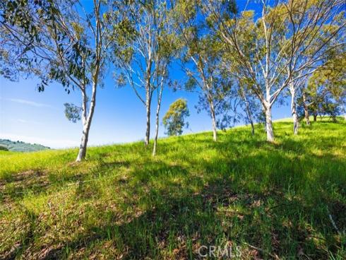 26841  Windsor Drive  , San Juan Capistrano, CA