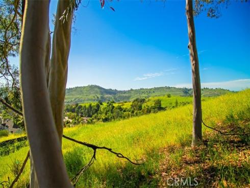 26841  Windsor Drive  , San Juan Capistrano, CA