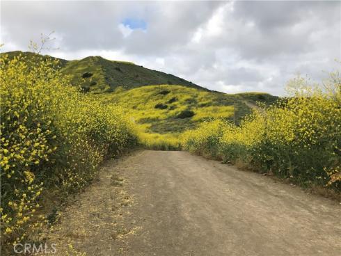 29771 Monarch Drive, San Juan Capistrano, CA