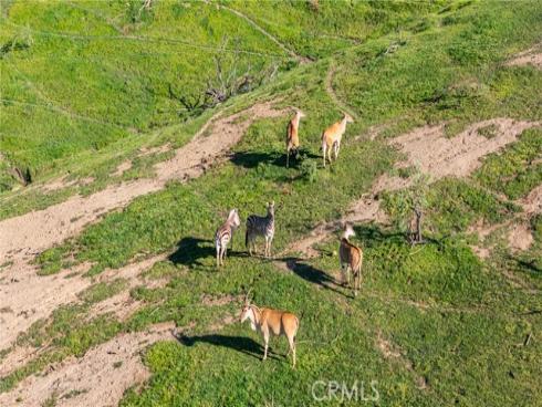 39250 Ortega Highway , San Juan Capistrano, CA