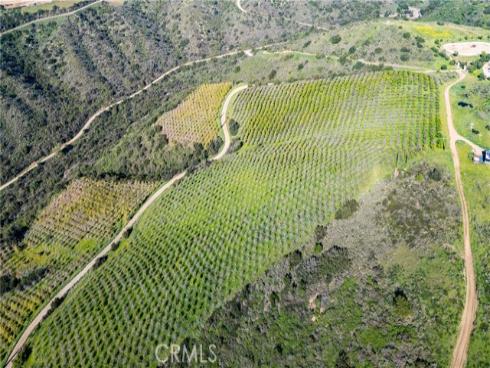 39250 Ortega Highway , San Juan Capistrano, CA