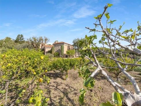 30662  Hilltop   Way, San Juan Capistrano, CA