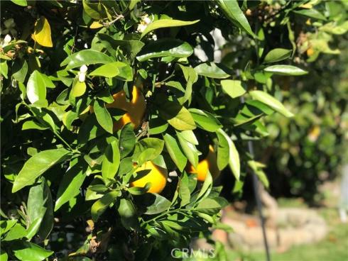 31342 Via Parra , San Juan Capistrano, CA