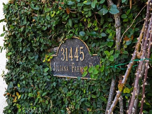 31445  Juliana Farms Road  , San Juan Capistrano, CA