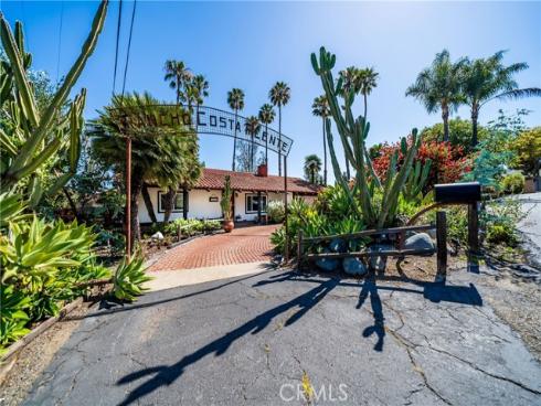 29612  Spotted Bull  , San Juan Capistrano, CA