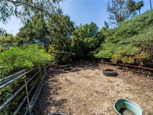 29612  Spotted Bull  , San Juan Capistrano, CA