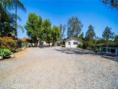 29612  Spotted Bull  , San Juan Capistrano, CA
