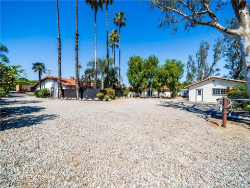 29612  Spotted Bull  , San Juan Capistrano, CA