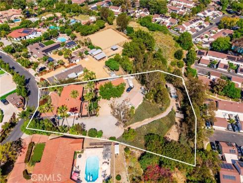 29612  Spotted Bull  , San Juan Capistrano, CA