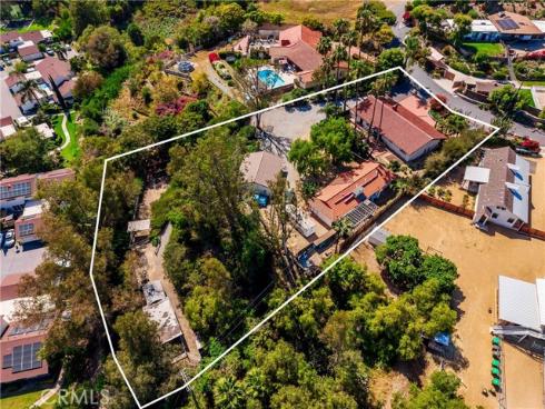 29612  Spotted Bull  , San Juan Capistrano, CA