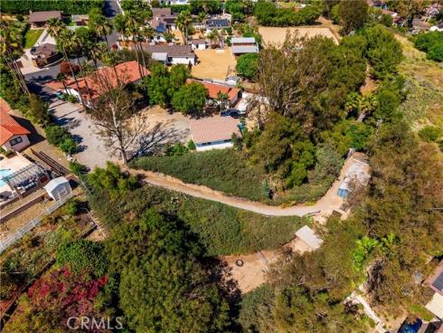 29612  Spotted Bull  , San Juan Capistrano, CA