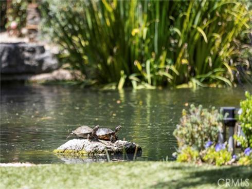 31922  Paseo Monte Vista  , San Juan Capistrano, CA