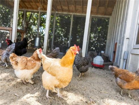 31922  Paseo Monte Vista  , San Juan Capistrano, CA