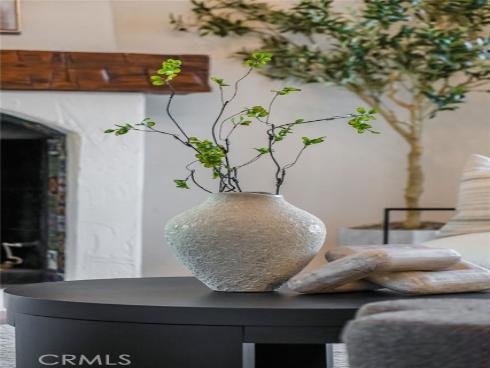 28021  Camino Santo Domingo  , San Juan Capistrano, CA