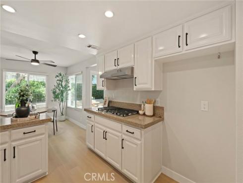33022 Terrapin Court, San Juan Capistrano, CA