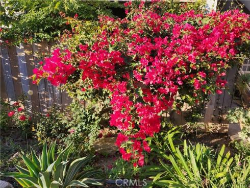 2521 W Sunflower T2 Avenue, Santa Ana, CA