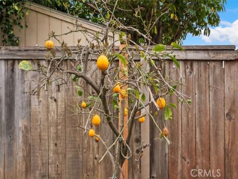 1214 S Marine Street, Santa Ana, CA