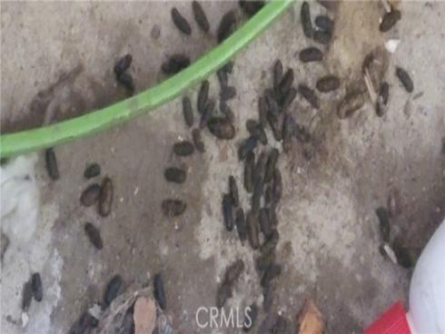 19542  Marcy   Drive, Santa Ana, CA