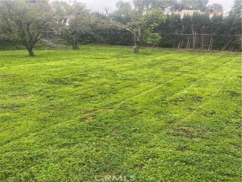 19542  Marcy   Drive, Santa Ana, CA