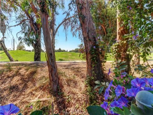 2510 Alona Street, Santa Ana, CA