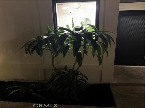 1242 Flaminian Way, Santa Ana, CA