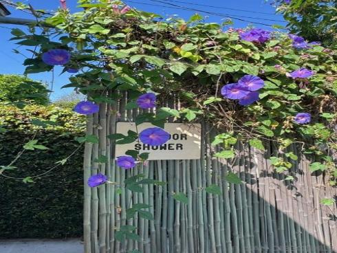 2602 N Louise , Santa Ana, CA