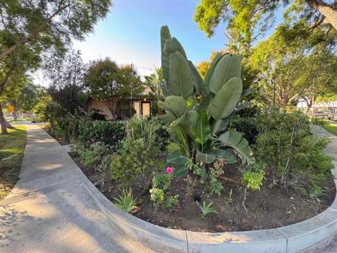 2602 N Louise , Santa Ana, CA