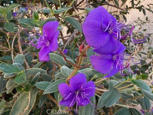 3050 S Bristol 2C , Santa Ana, CA