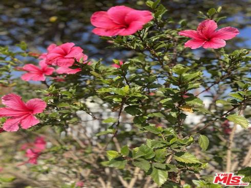 2142 W 11th   Street, Santa Ana, CA