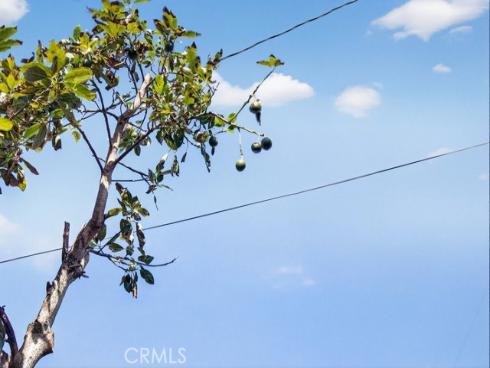 1119 Magnolia , Santa Ana, CA