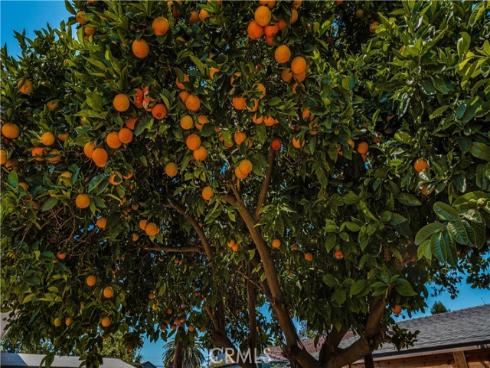 1147 W 10th  , Santa Ana, CA