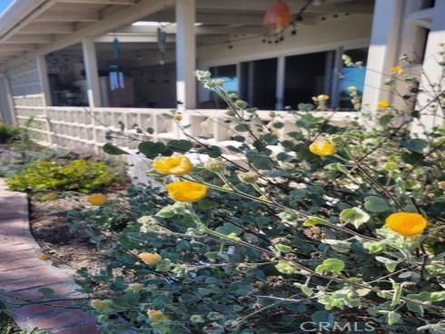 1601 Golden Rain 117b M-5 , Seal Beach, CA